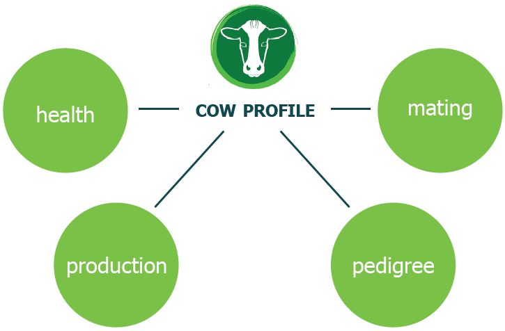 MISTRO Cow Profile